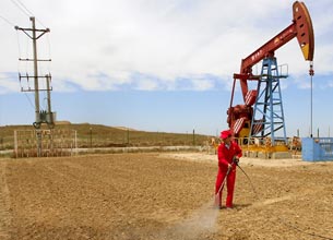 ���޹���5981cc(�й���)���޹�˾����