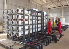 ���޹���5981cc(�й���)���޹�˾����