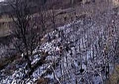 ���޹���5981cc(�й���)���޹�˾����